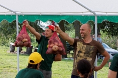 14067958_10202018152212638_2205627825181374983_o