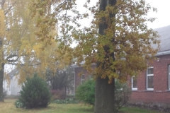20151020_101003